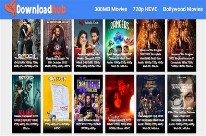 DownloadHub4U 2024: The Ultimate Guide to Secure and Reliable Downloads