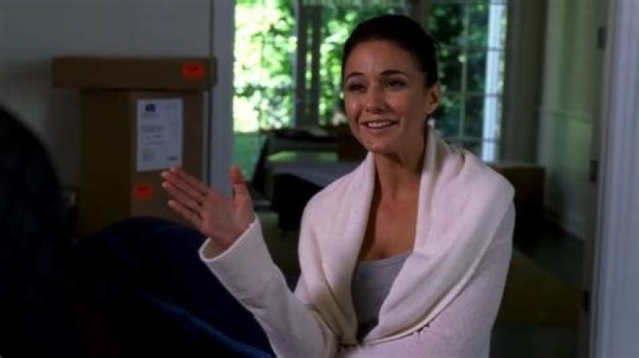 Emmanuelle Chriqui: The Entourage Star's Journey to Fame and Beyond