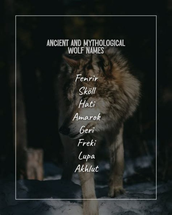 Exploring Female Wolf Names in Mythology: Unveiling Their Power and Symbolism