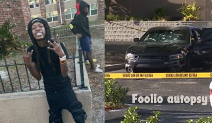 Foolios Autopsy: A Comprehensive Analysis of the Revolutionary Approach