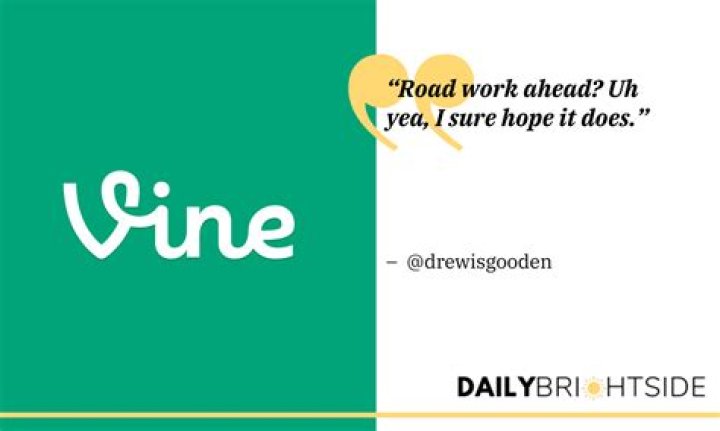 Funny Quotes From Vine: A Collection of Hilarious Moments That Defined a Generation