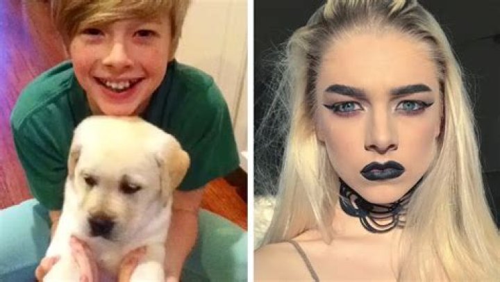 Hunter Schafer Bottom Surgery: A Comprehensive Guide to Understanding Gender-Affirming Procedures