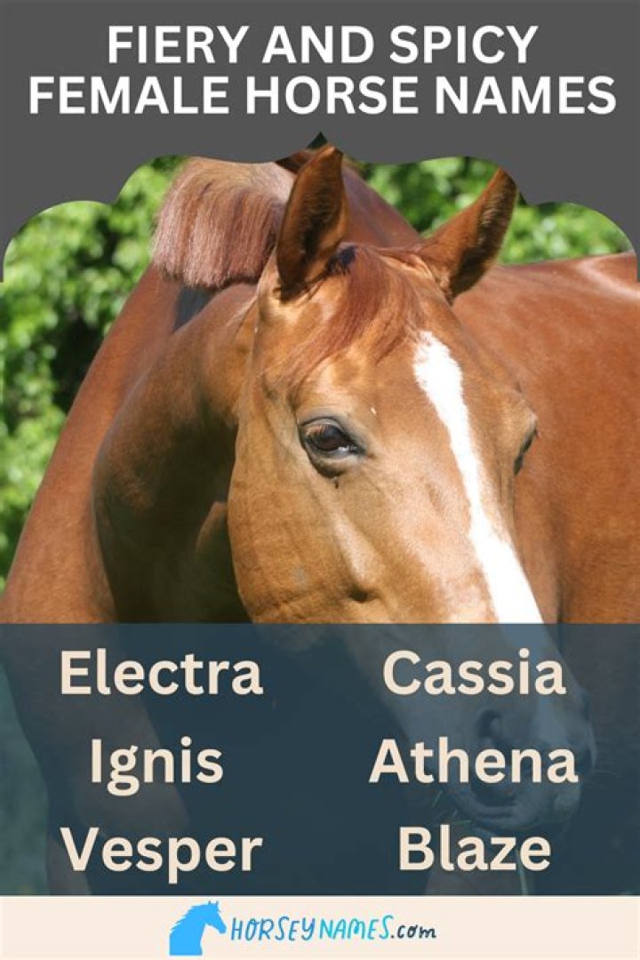 Spicy Female Names: A Comprehensive Guide to Unique and Fiery Names for Women